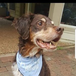 Meet your Posher, Lori